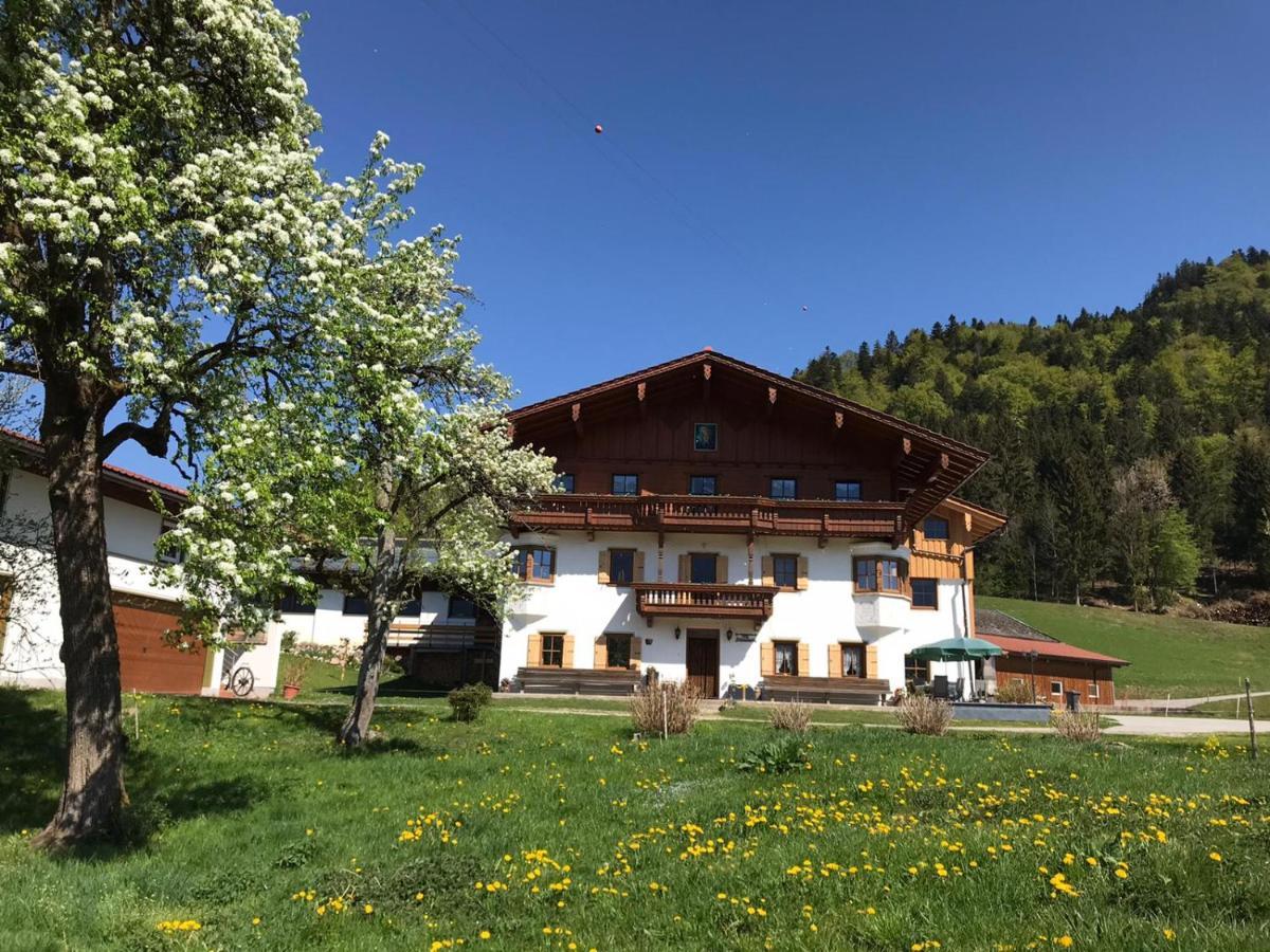 Biobauernhof Und Ferienhaus Riederbauer Rettenschöss 外观 照片